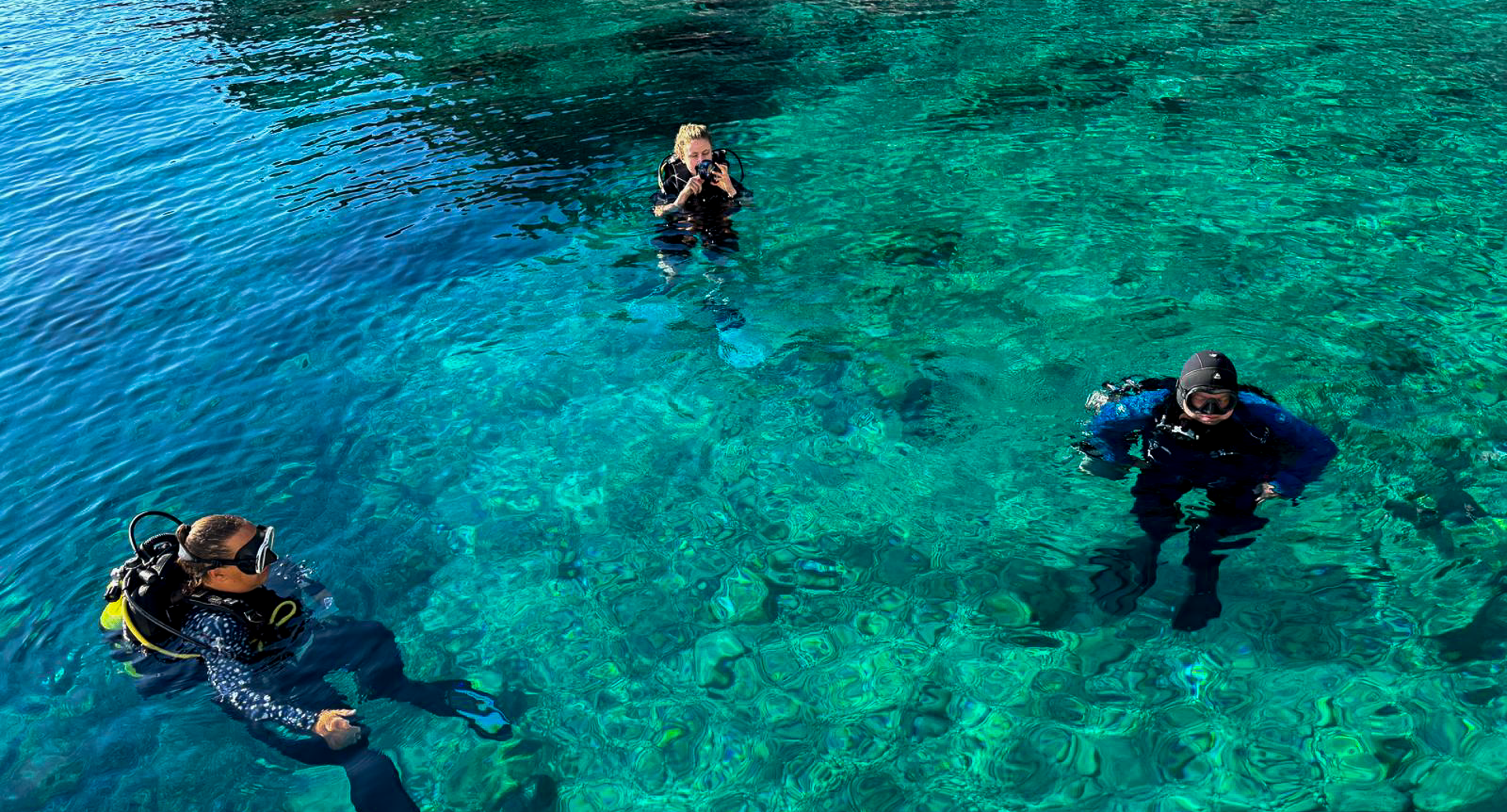 Open Water Diver