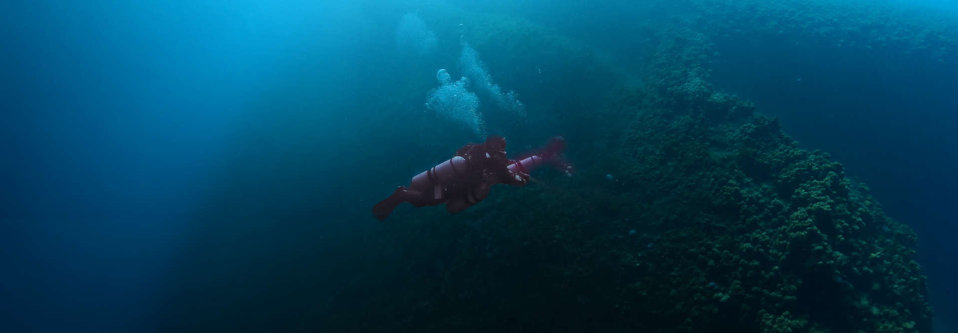 Deep Diver